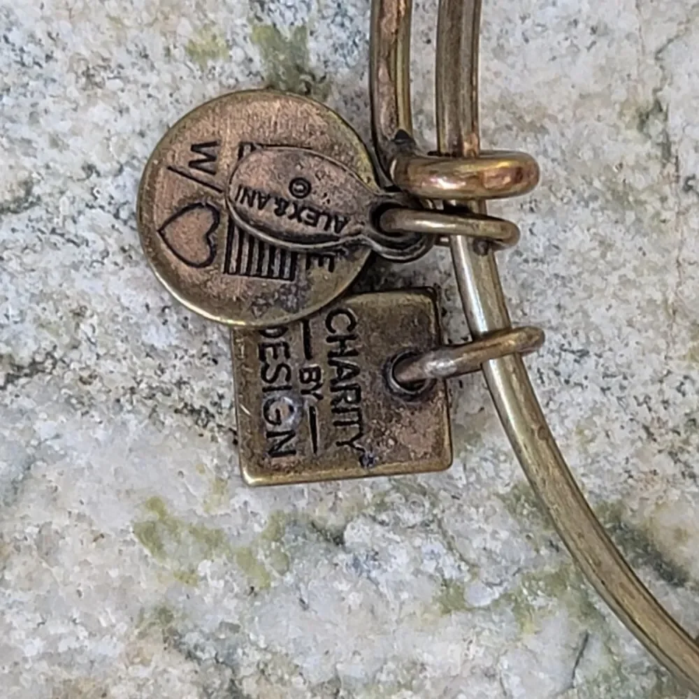 Alex and ani set of 2 energy infused bracelets